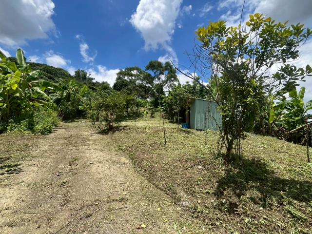 台中霧峰山坡地-10