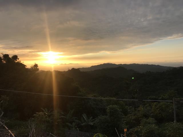 台中太平農地-14