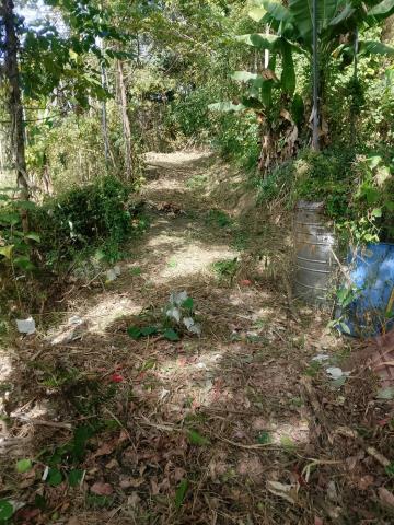 台中太平農地-7