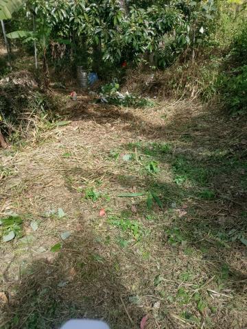 台中太平農地-8