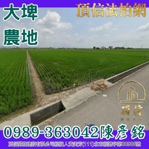 雲林大埤法拍農地-0