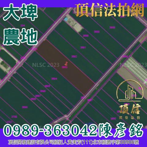 雲林大埤法拍農地-3