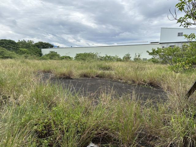 苗栗竹南工業地-3