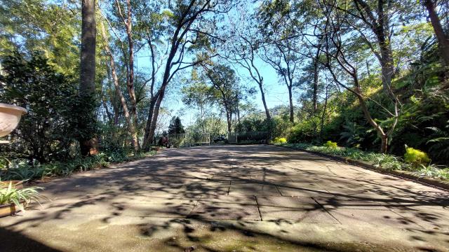 新竹橫山林地-13