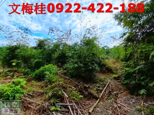 宜蘭員山農地-8