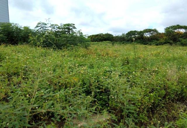 楊梅富岡乙種工業用地