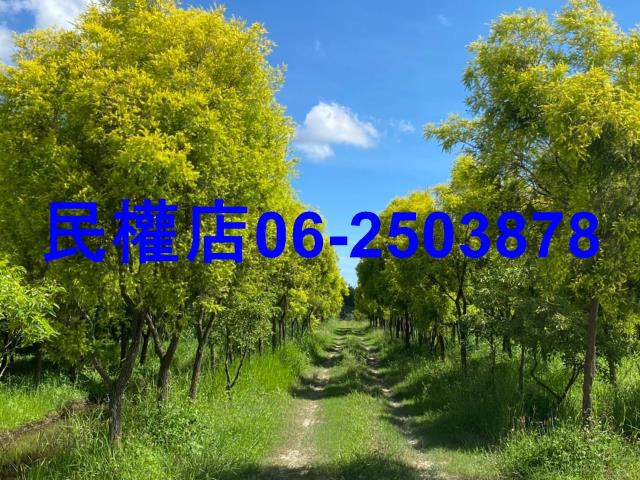 台南六甲農地-8