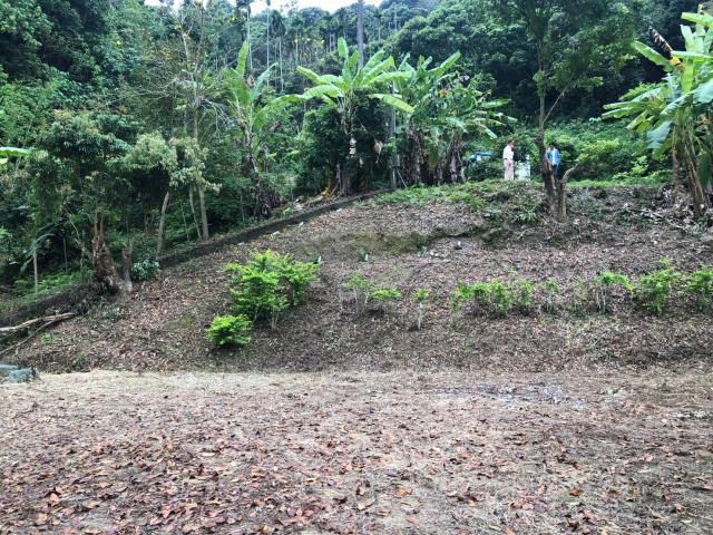 南投南投市農地-9