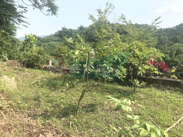 南投南投市農地-10