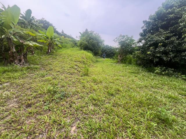 台中霧峰農地-9