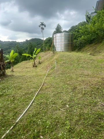 台中霧峰農地-13