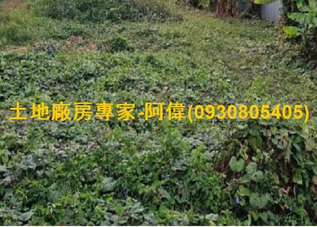 林園區大路邊住宅用地140坪出售