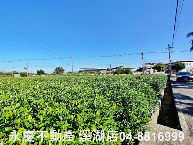 彰化田中農地-6