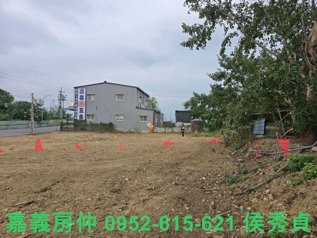 嘉義東區農地-6