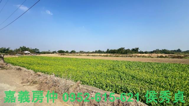 西區農地-6
