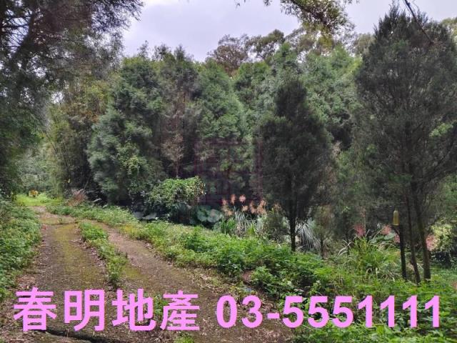 新竹縣芎林鄉中坑大坪數農林地春明地產