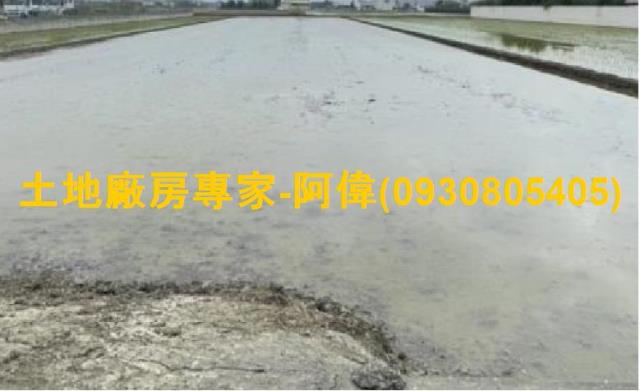 大寮區近光明路三段漂亮農地801坪出售