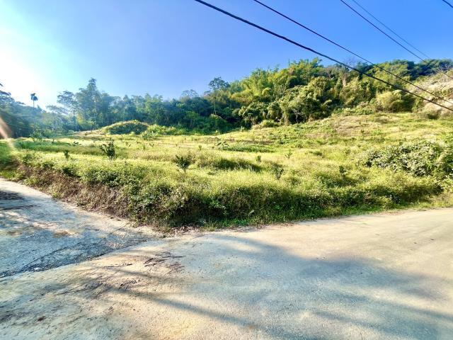 中寮愛鄉山坡地