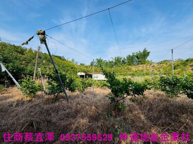 台南左鎮農地-4