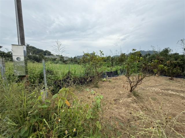 高雄大社農地-6