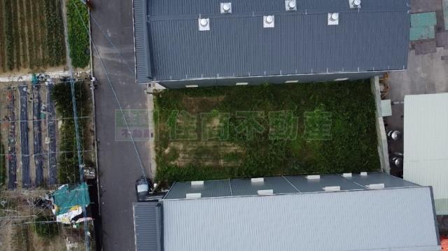 高雄大社農地-4