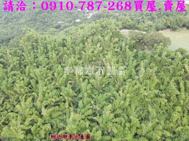 高雄大社農地-11