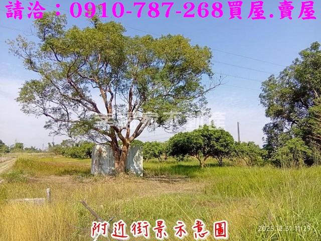 台南新市農地-5