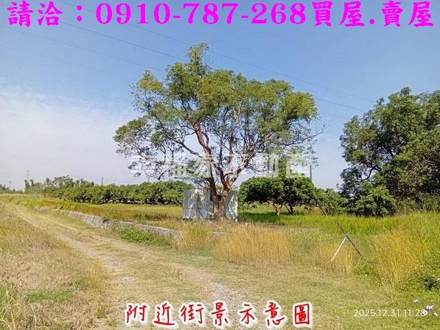 台南新市農地-8