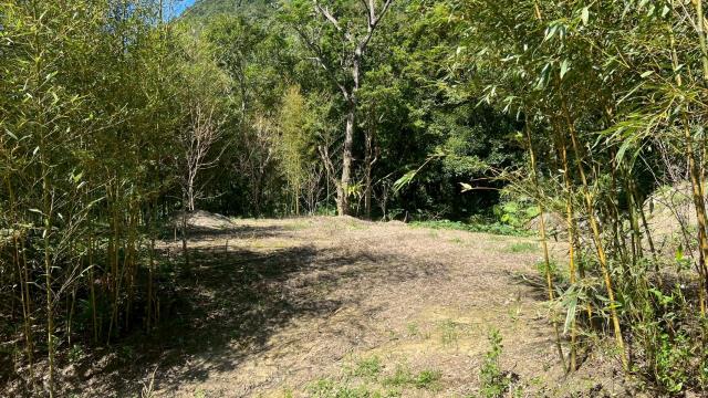 新竹尖石農地-8