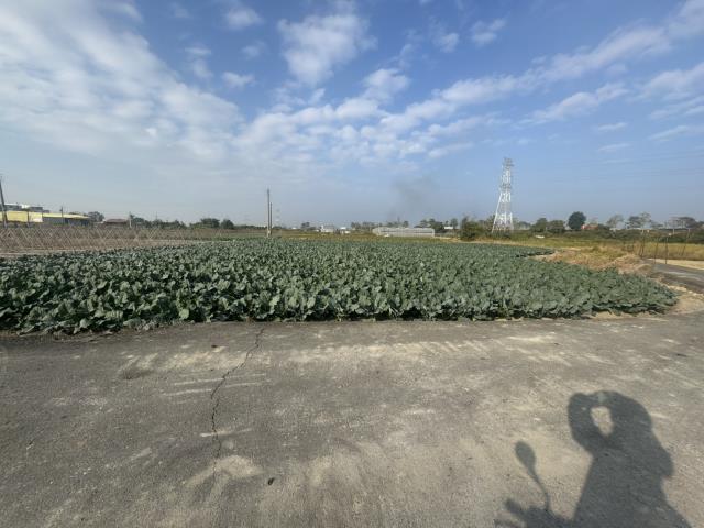 高雄路竹農地-11