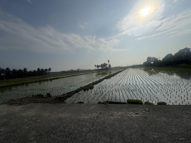 高雄路竹農地-13