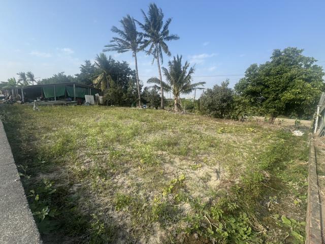 高雄路竹農地-5