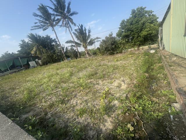 高雄路竹農地-7