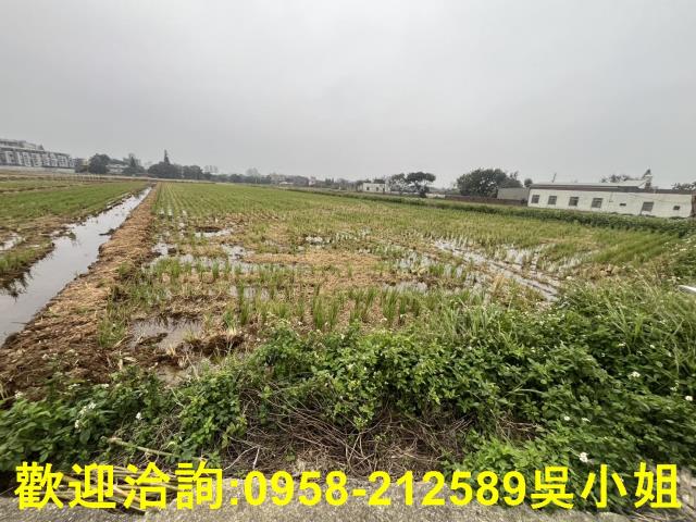 湖口農地-1
