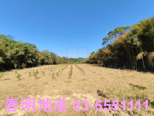 苗栗農地-4