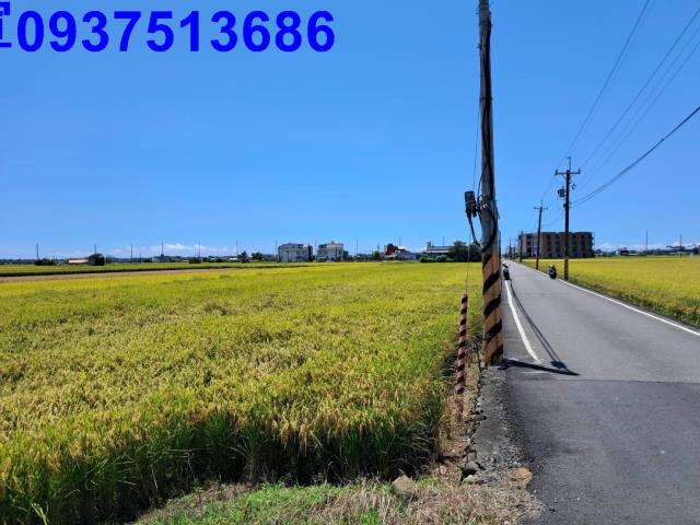 宜蘭壯圍農地-9