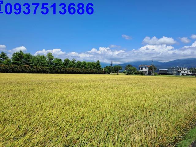 宜蘭縣壯圍鄉壯志段農地出售