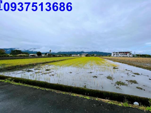 宜蘭縣三星鄉八王城段農地出售