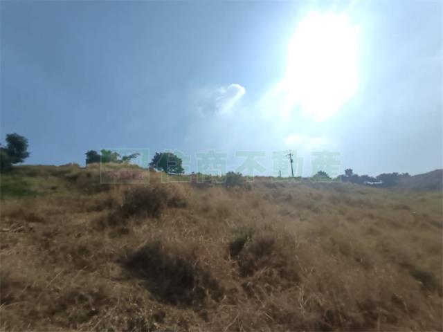 高雄大樹農地-10