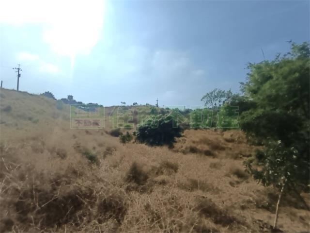 高雄大樹農地-11