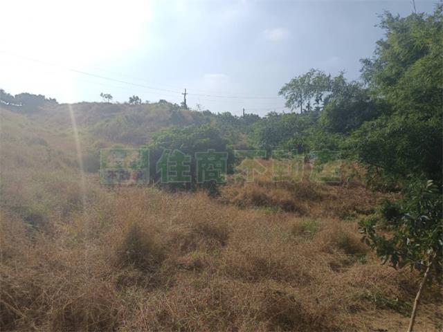 高雄大樹農地-12