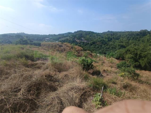 高雄大樹農地-6