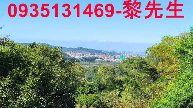 新竹橫山林地-6