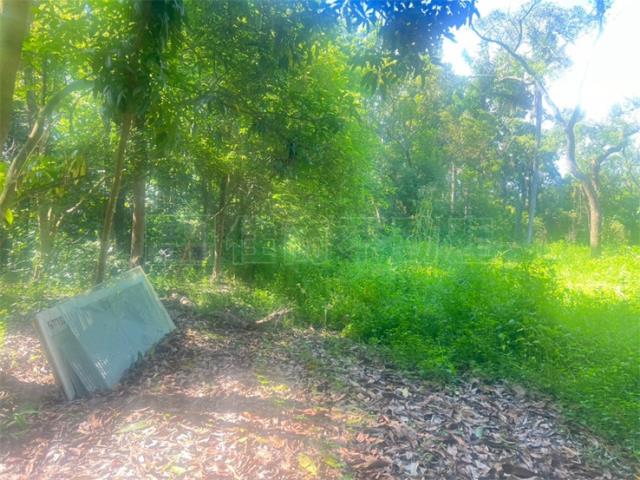 高雄內門農地-1