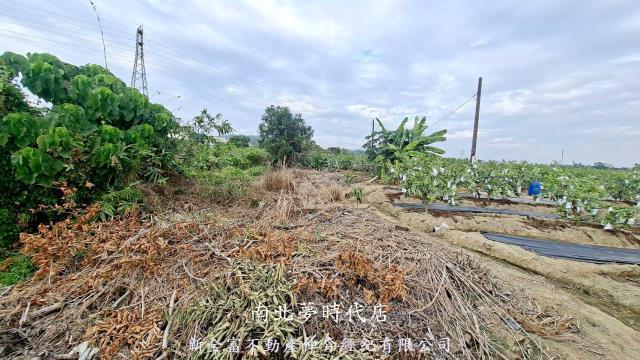 高雄燕巢農地-9