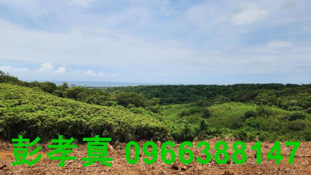 新北土地房屋透天別墅租屋廠房