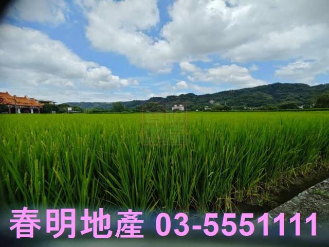 竹北農地-2