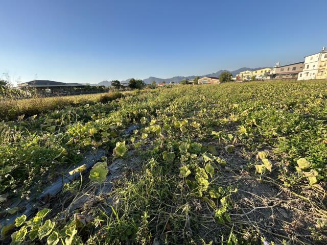 美濃農地-0