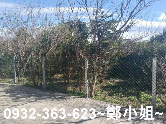 桃園龍潭農地-2