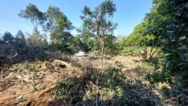 新竹新埔農地-9